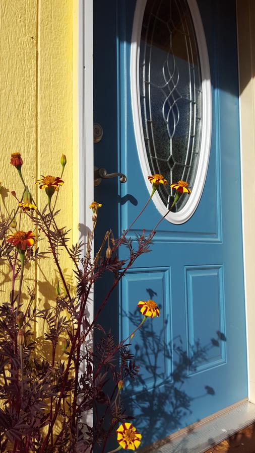 Sunshine Cottage Talkeetna Exterior foto